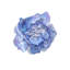 Gardenia Napkin Ring-1568304150