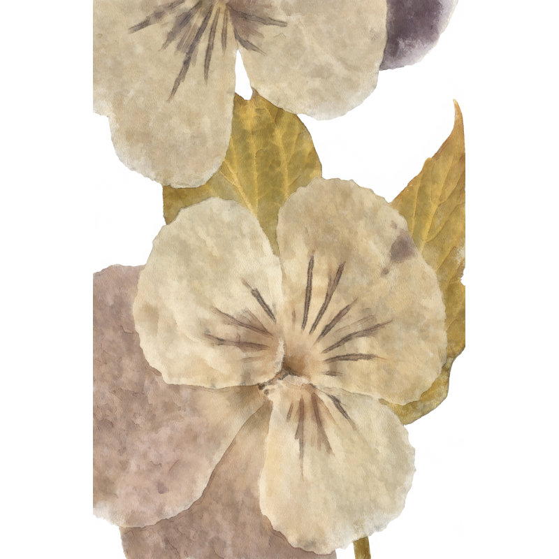 Neutral Pansy II by Alonzo Saunders - Wrapped Canvas Graphic Art Print, Black Floater Framed, 30cm H x 20cm W