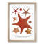 Assortment Of Starfish by Albert I - Single Picture Frame Painting-57844142-57844141