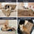 Outdoor Flannel Pet Blanket-97900445