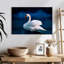 Cygne blanc pur Brampt-108818894
