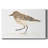 Pretty Piper IV-Gallery Wrapped Canvas-1711150247