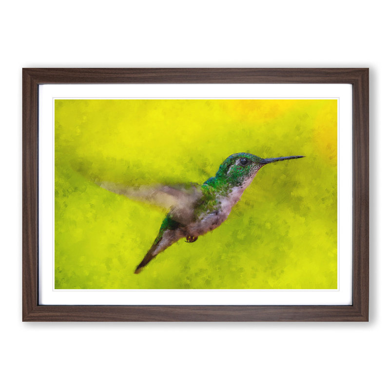 Hummingbird in Costa Rica - Picture Frame Painting Print, 24cm H x 33cm W x 2cm D, Walnut Framed