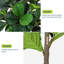 150cm Plant