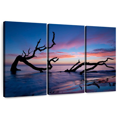 Gillard Driftwood Beach