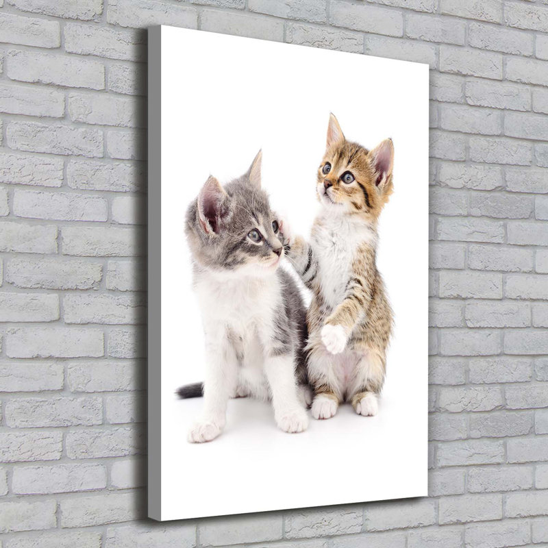 Two Small Cats - Wrapped Canvas Print