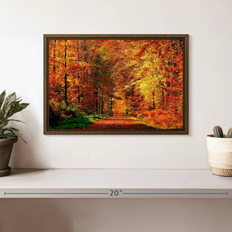 Chemin vers la forêt d'automne, 13 po x 9 po, Cadre flottant noyer
