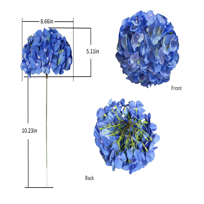 Arrangement, Blue