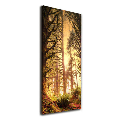The Rainforest - Wrapped Canvas Print