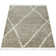 Forteau Geometric Shag Area Rug
