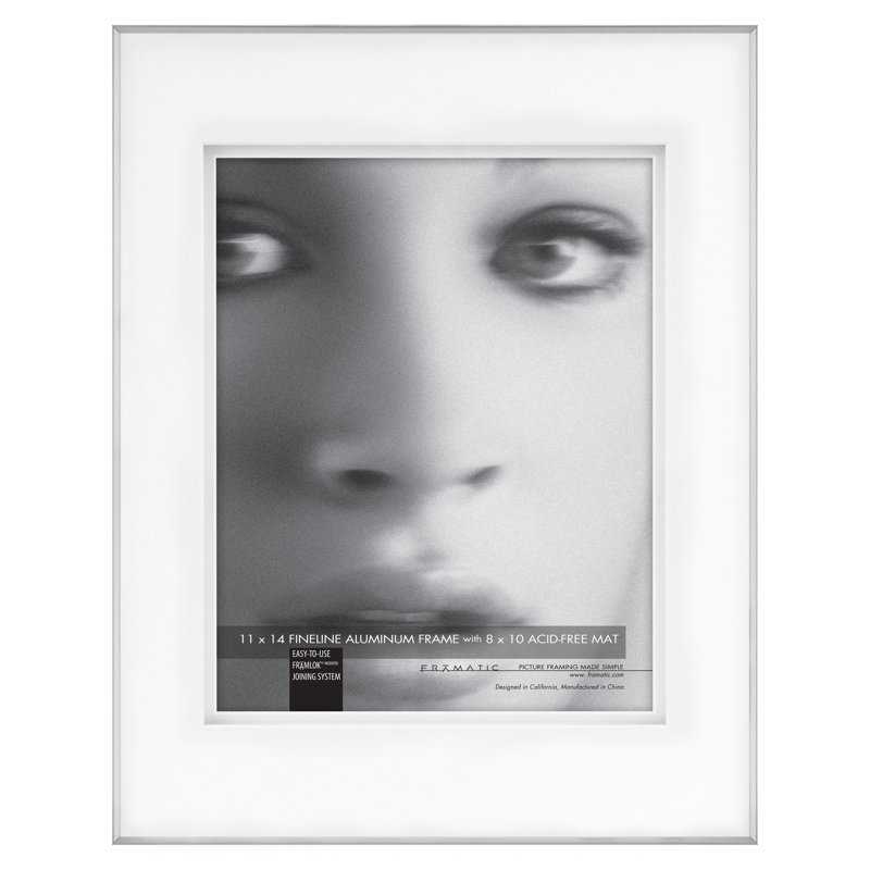 Fineline Metal Matte Picture Frame