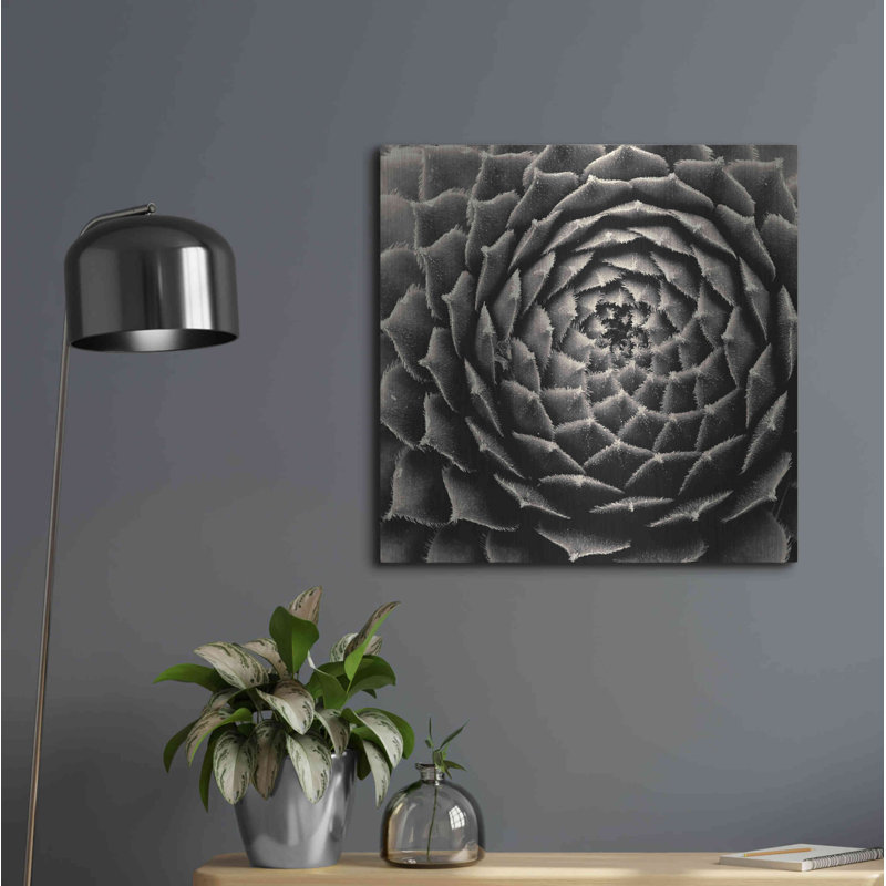 «Succulent» par Gary Horsfall, H 24 po x l 24 po