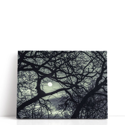 Lune à travers les branches - reproduction d'art sur toile