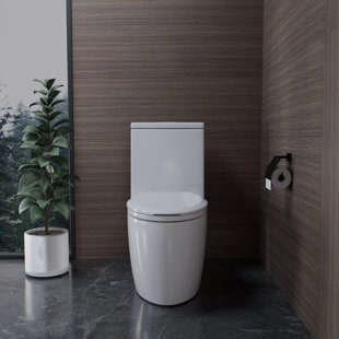 Toilet lid-G013