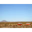 West Texas by Lisa Eisenbrey-65827050-65852545