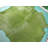 Dyed Green Real Cowhide Rug