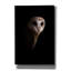 «Owl» par Incado, estampe numérique sur toile-1901104641