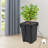 Hydroponics Growing System
