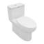 Toilette une pièce fixée au sol à hauteur de chaise 1,6 GPF Sarlai (siège inclus)