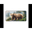 Polyester Desk Pad-1509519577