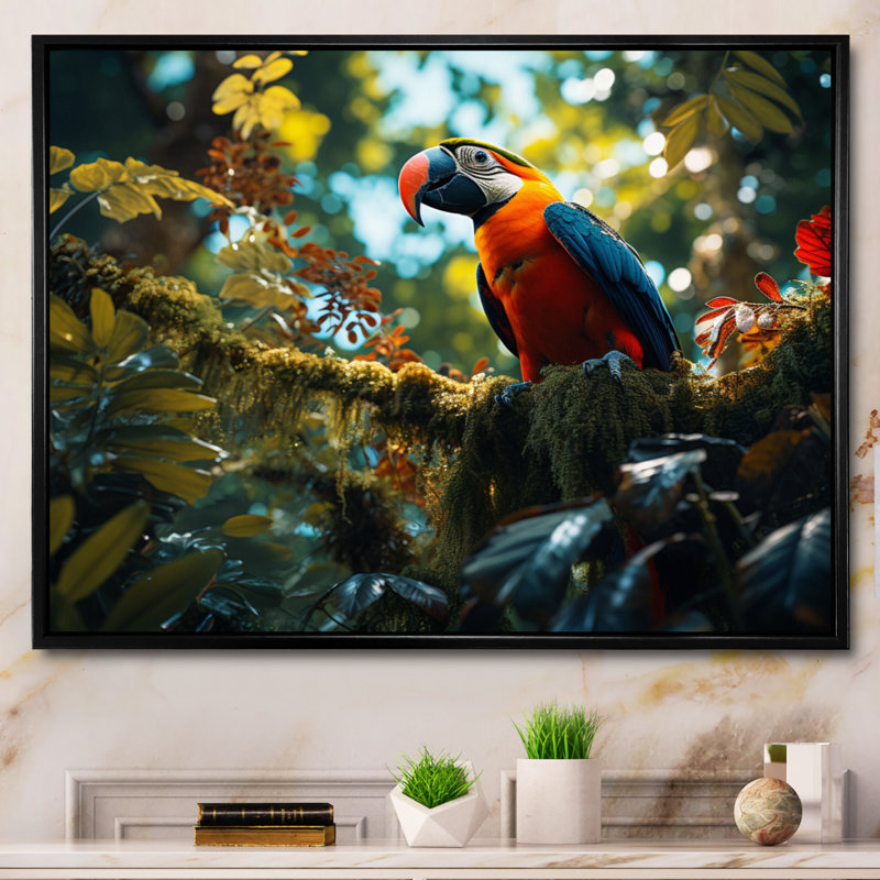 Macaw South America Jungle Symphony - Animals Wall Art Prints, Cadre flottant noir, 30" H x 40" W
