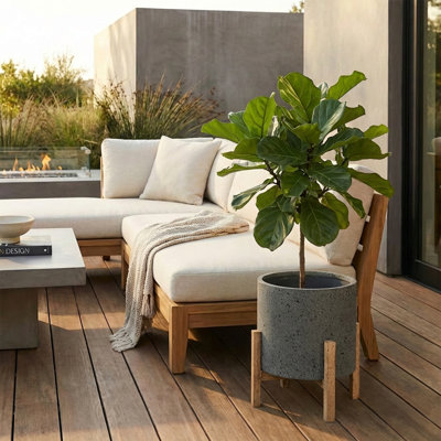 Mulber Ficonstone Pot Planter