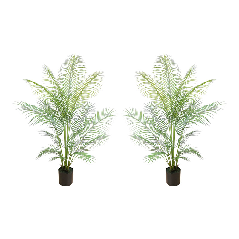 5' and 5.5' Outdoor UV Rated Kentia Palm Drop-In Trees, 68" H x 39" W x 39" D