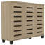 Alcester Lismore Shoe Storage Cabinet Up to 20 Pairs-1700935812