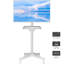 Folkert Fairmont Park Multi-Screen Single Screen Floor stand mount Electronic Mount
