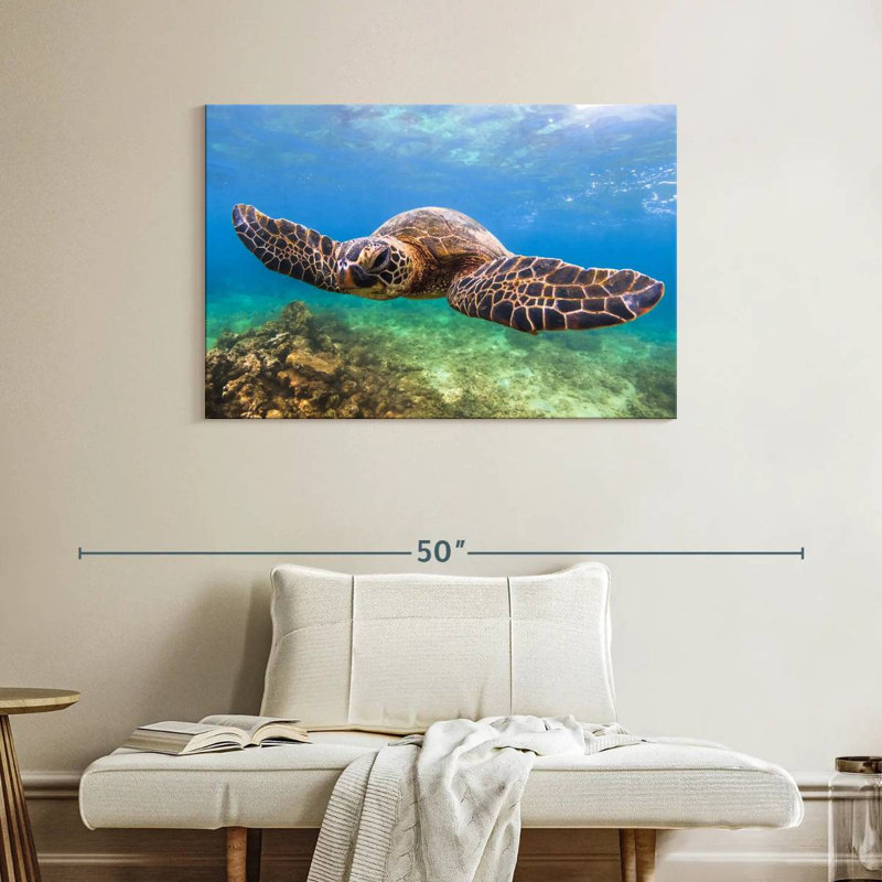 Crowle Flapping Turtle, 26" H x 39" W