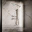 Artifacts Single-Function Handshower, 2.5 Gpm-2145119051