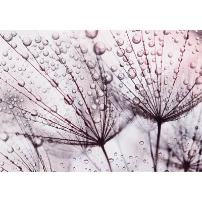 Adhésif mural floral peler et coller - Pissenlit sous la pluie