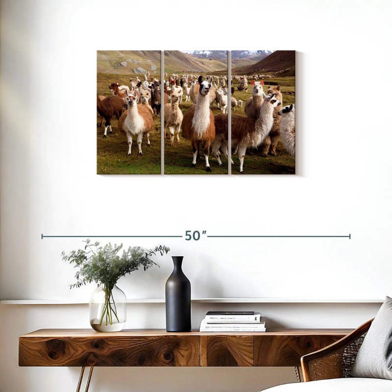 Brampt Peruvian Alpacas And Llamas, 20" H x 33" W