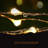 Juta Indoor 100 - Bulb 6.42'' Solar Powered LED Wide Angle LED String Light