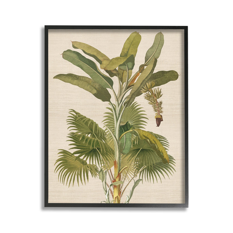 Rétro, plante tropicale, giclée, art par Ambre, Giclée encadrée noir minuit, 14" H x 11" W