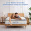 Matelas grand ferme 10 pouces-724306001-724306014