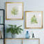 «Tropical Botanical I», ensemble de 2 reproductions d'art-764649059-764649062-764649052