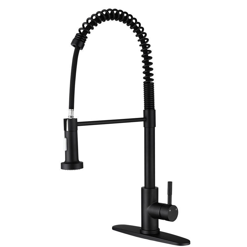 Robinet de cuisine avec douchette extractible, acier inoxydable noir mat, buse rotative à 360 ° pour une fonction efficace de l'eau, finition anti-rouille et anti-rouille, acier à jet simple avec gestion du débit, haute