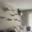 Customer photo 4 of 13