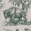 Tissu Western Toile-103897560