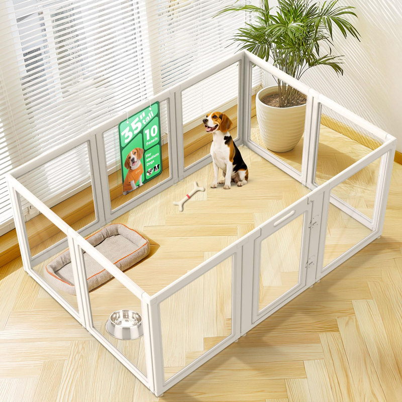 Parc d'intérieur pour chien en acrylique AuraSpace de FXW pour chiens de taille moyenne, 35 po, 10 panneaux, blanc, Blanc