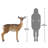 Forest White Tailed Doe Female Deer Statue