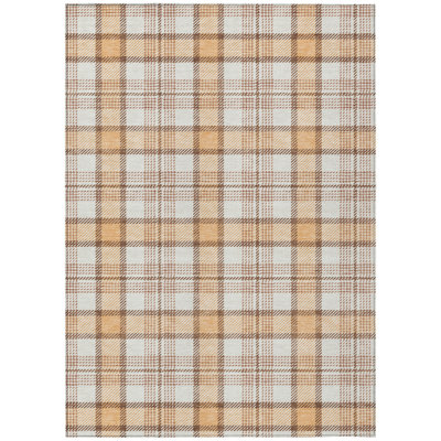 Tapis extérieur lavable écossais 3 pi x 5 pi