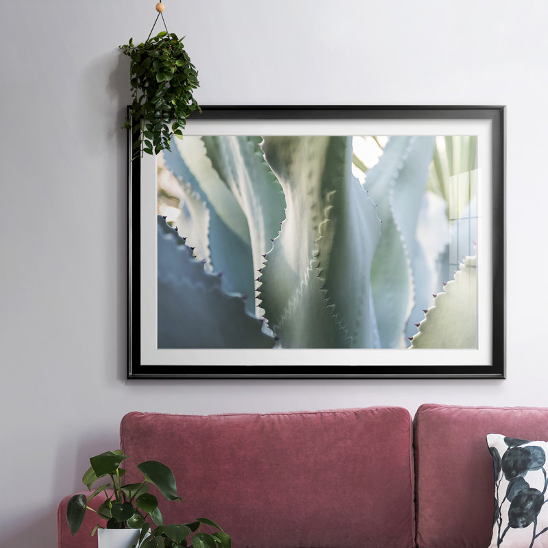 Blue Agave II, impression sur papier encadrée, Noir, H 19 po x l 27 po x P 1,5 po