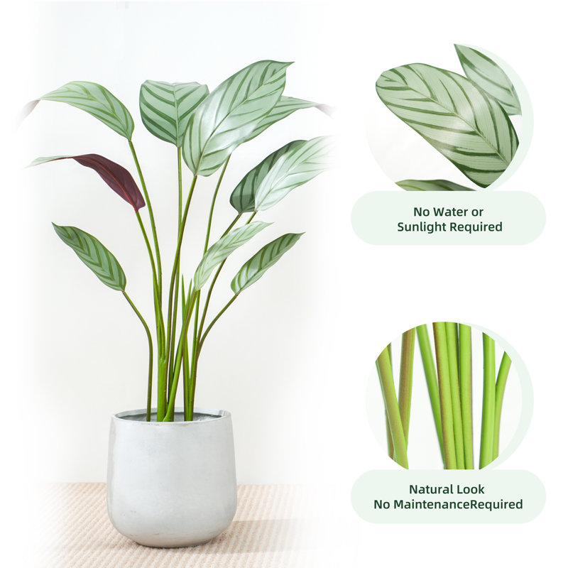 Ankitha Faux Bird of Paradise Plant, 160cm H  x 30cm W  x 30cm D