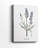 Lavender -Gallery Wrapped Cavas-1300825557