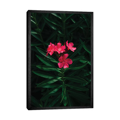 Florida Blooms by Bethany Young - Print on Canvas
