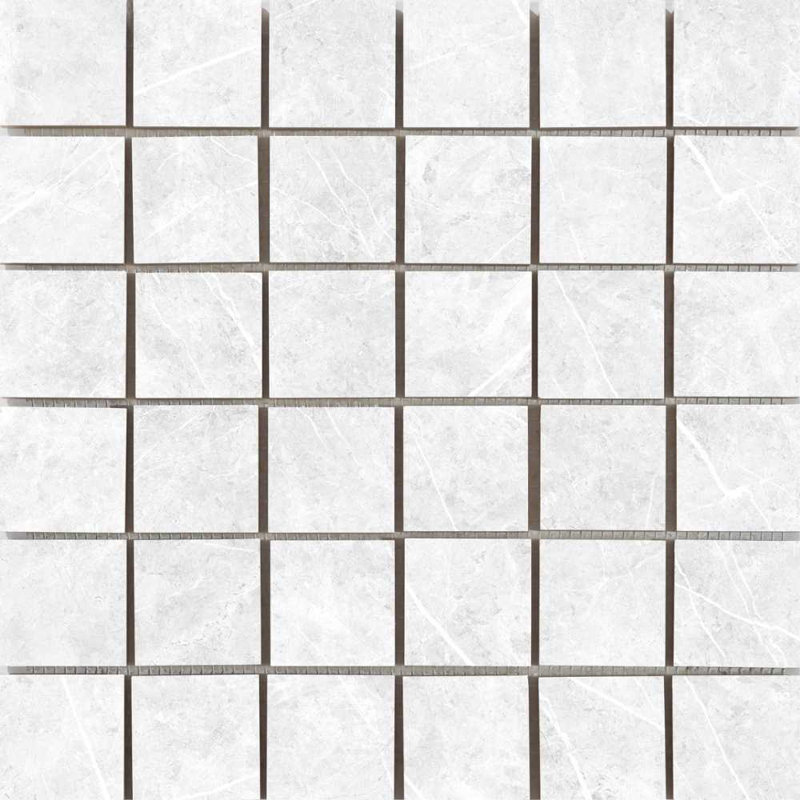 Opera 2" x 2" Porcelain Grid Mosaic Wall & Floor Tile, White