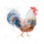 Aquarelle coq - reproduction encadrée rouge mat pour la décoration intérieure