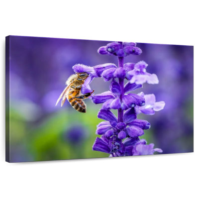 Brampt fleur et abeille